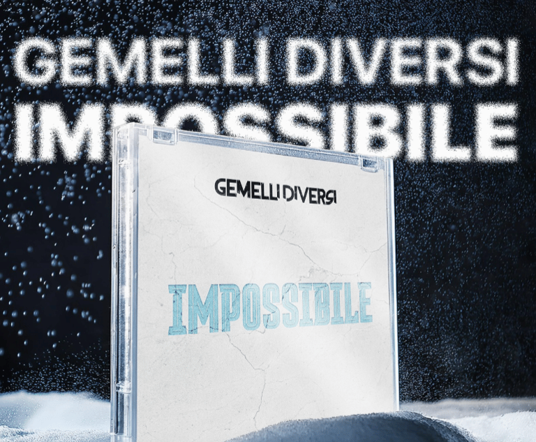 Impossibile i Gemelli Diversi sono tornati