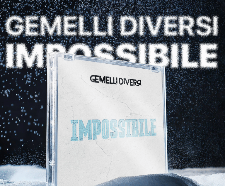 Impossibile i Gemelli Diversi sono tornati